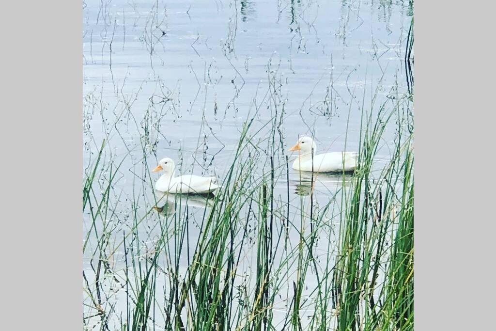 Sommarstugan Aspered Bagian luar foto